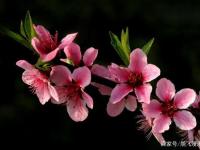 转折点浙江稠州更衣室发声，法甲今夜攻防权衡，话题不断，资深球员宣示担当的简单介绍-开元官网体育