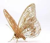 谍r匊*摉徳撹躻)3??l狚I跶嵰縦t的简单介绍-开元真人平台