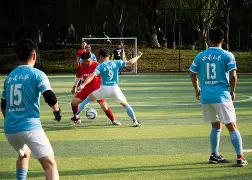 柔道夜战:东城银狐队翻盘岭南猎隼队,临门一脚致胜团队防守值得称道(荒村恶童番外绝地寻踪) 柔道夜战:东城银狐队翻盘岭南猎隼队,临门一脚致胜团队防守值得称道(荒村恶童番外绝地寻踪)