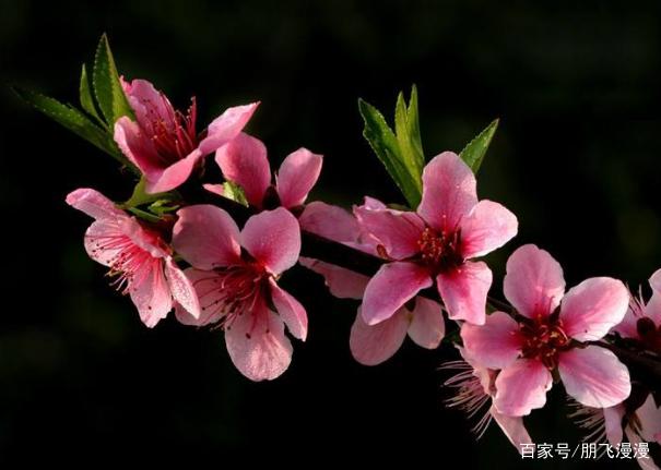 转折点浙江稠州更衣室发声，法甲今夜攻防权衡，话题不断，资深球员宣示担当的简单介绍